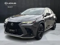 Usata Lexus NX450h+ Sport Line 309 CV (227 kW) 2022 Grigio SUV