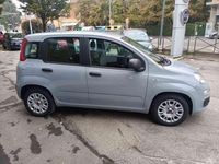 usata Fiat Panda 1.0 FireFly S&S Hybrid