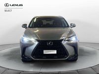 Usata Lexus NX300 309 CV (227 kW) 2023 Grigio SUV