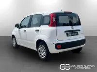 Nuova Fiat Panda Icon 65 CV (47 kW) 2026 Bianco gelato pastello Utilitaria