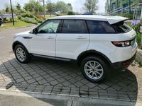 Usata Land Rover Range Rover evoque 190 CV (139 kW) 2012 Bianco SUV