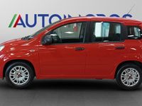 Usata Fiat Panda S 70 CV (51 kW) 2022 Rossa Utilitaria