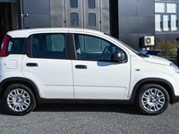 Nuova Fiat Panda Icon 69 CV (50 kW) 2025 Bianco Utilitaria