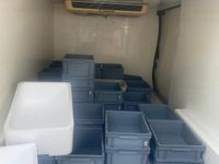 usata Renault Trafic frigo