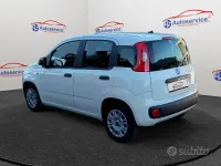 Usata Fiat Panda Easy 69 CV (50 kW) 2020 Bianco Utilitaria