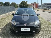 Usata Fiat Punto Lounge 69 CV (50 kW) 2016 Nero Utilitaria