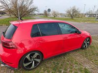 Usata VW Golf VII GTI 230 CV (169 kW) 2017 Rosso Berlina
