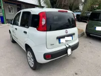 Usata Fiat Panda 86 CV (63 kW) 2015 Bianco Furgone
