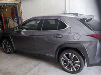 Usata Lexus UX 250h Executive Line 184 CV (135 kW) 2020 SUV