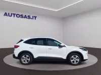 Occasion Ford Kuga Business Edition 190 ch (139 kW) 2021 Blanc SUV