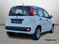 Usata Fiat Panda Lounge 69 CV (50 kW) 2015 Bianco Utilitaria