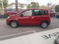 Usata Fiat Panda S 70 CV (51 kW) 2024 Rosso Utilitaria