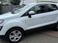Usata Ford Ecosport ST-Line 99 CV (72 kW) 2019 Bianco SUV