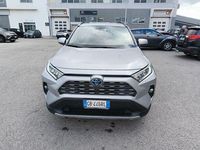 Usata Toyota RAV4 Hybrid Active 218 CV (160 kW) 2020 Grigio SUV