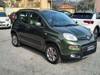 Usata Fiat Panda 4x4 S 75 CV (55 kW) 2013 Verde metallizzato Utilitaria