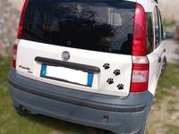 Usata Fiat Panda 2010 Bianco Utilitaria