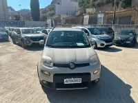 Usata Fiat Panda 4x4 Climbing 75 CV (55 kW) 2013 Beige Utilitaria