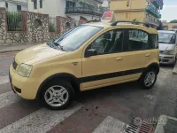 Usata Fiat Panda Climbing 60 CV (44 kW) 2008 Giallo Utilitaria
