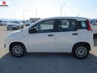 usata Fiat Panda 1.3 MJT 80CV Easy-2017 KM45000 OK NEOPATE