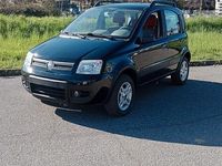 Usata Fiat Panda 4x4 60 CV (44 kW) 2006 Nero Utilitaria