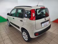 usata Fiat Panda Panda