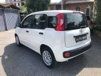 Usata Fiat Panda S 69 CV (50 kW) 2021 Bianco pastello Utilitaria