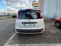 Usata Fiat Panda 80 CV (58 kW) 2017 Utilitaria