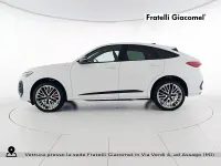 Nuova Audi Q5 Sportback Ambiente 204 CV (150 kW) 2025 Bianco SUV