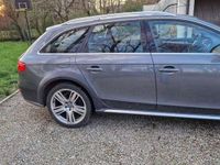 usata Audi A4 Allroad 2.0 tdi Business 177cv