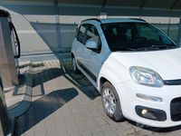 Usata Fiat Panda 69 CV (50 kW) 2013 Bianco Utilitaria
