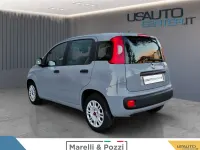 Usata Fiat Panda Lounge 69 CV (50 kW) 2018 Grigio Utilitaria