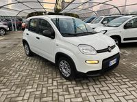 Usata Fiat Panda S 69 CV (50 kW) 2023 Bianco Utilitaria