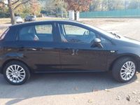 Usata Fiat Punto Evo 2010 Nero Utilitaria