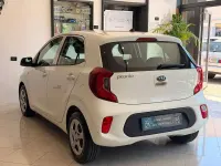 Usata Kia Picanto 67 CV (49 kW) 2017 Bianco Utilitaria