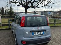 Usata Fiat Panda 95 CV (69 kW) 2018 Utilitaria