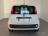 Usata Fiat Panda Lounge 69 CV (50 kW) 2017 Beige Utilitaria