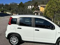Usata Fiat Panda City Life 69 CV (50 kW) 2023 Utilitaria
