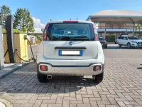 Usata Fiat Panda Cross Cross 85 CV (62 kW) 2020 Bianco Utilitaria
