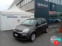 Usata Fiat Panda Easy 69 CV (50 kW) 2017 Grigio Utilitaria