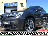 Usata Alfa Romeo Stelvio 160 CV (117 kW) 2021 Grigio SUV
