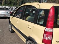 Usata Fiat Panda 4x4 Climbing 2005 Utilitaria