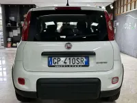 Usata Fiat Panda City Life 69 CV (50 kW) 2023 Bianco Utilitaria