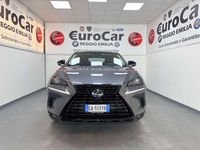 Usata Lexus NX300h Luxury Line 155 CV (114 kW) 2020 Grigio SUV