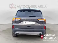 Usata Ford Kuga Titanium 120 CV (88 kW) 2024 Grigio SUV