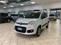 Usata Fiat Panda 4x4 S 86 CV (63 kW) 2020 Bianco Utilitaria