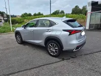 Usata Lexus NX300h Business Edition 155 CV (114 kW) 2019 Argento SUV