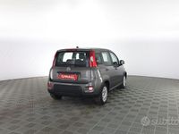 Usata Fiat Panda S 69 CV (50 kW) 2023 Grigio maestro Utilitaria