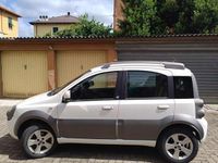 Usata Fiat Panda Cross Cross 74 CV (54 kW) 2011 Bianco Utilitaria