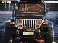 usata Jeep Wrangler 4.0 i 184 CV Autocarro 2 Posti GPL