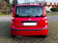 Usata Fiat Panda 69 CV (50 kW) 2011 Rosso Utilitaria